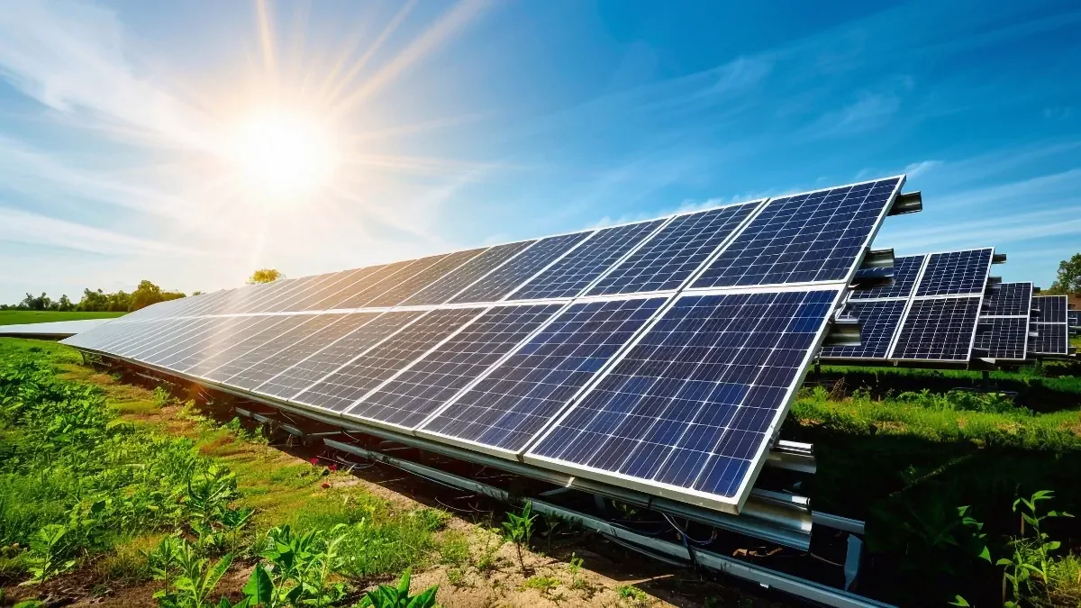 Bando Parco Agrisolare 2024: opportunità per le aziende agricole