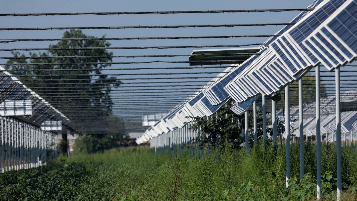 Agrivoltaico
